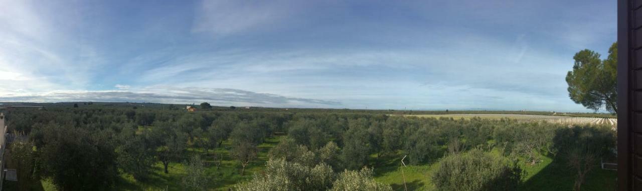 Villa Farm Agriturismo Masseria Chiusurella à Corato Extérieur photo